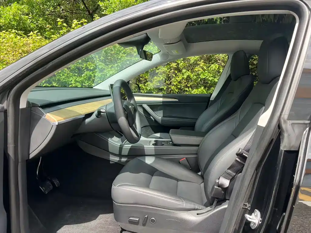 Tesla Model Y — миниатюра 8