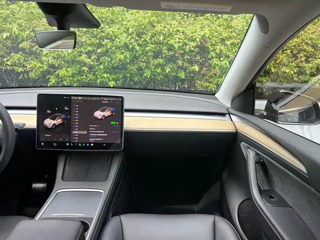 Tesla Model Y — миниатюра 7