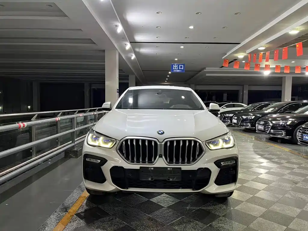 BMW X6 — миниатюра 2