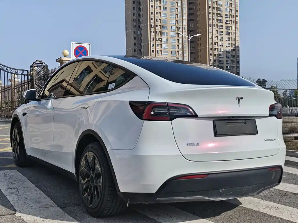 Tesla Model Y — миниатюра 4