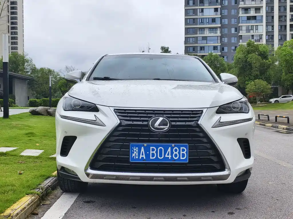 Lexus NX — миниатюра 3