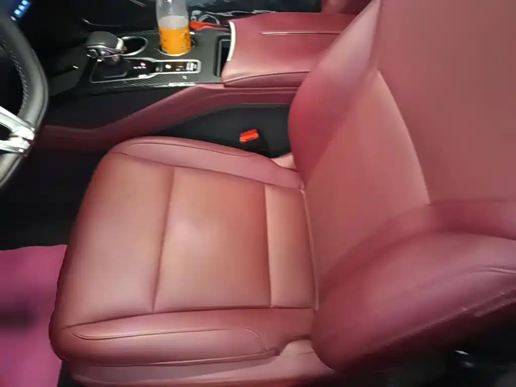 Hongqi Hongqi HS3 PHEV — миниатюра 20