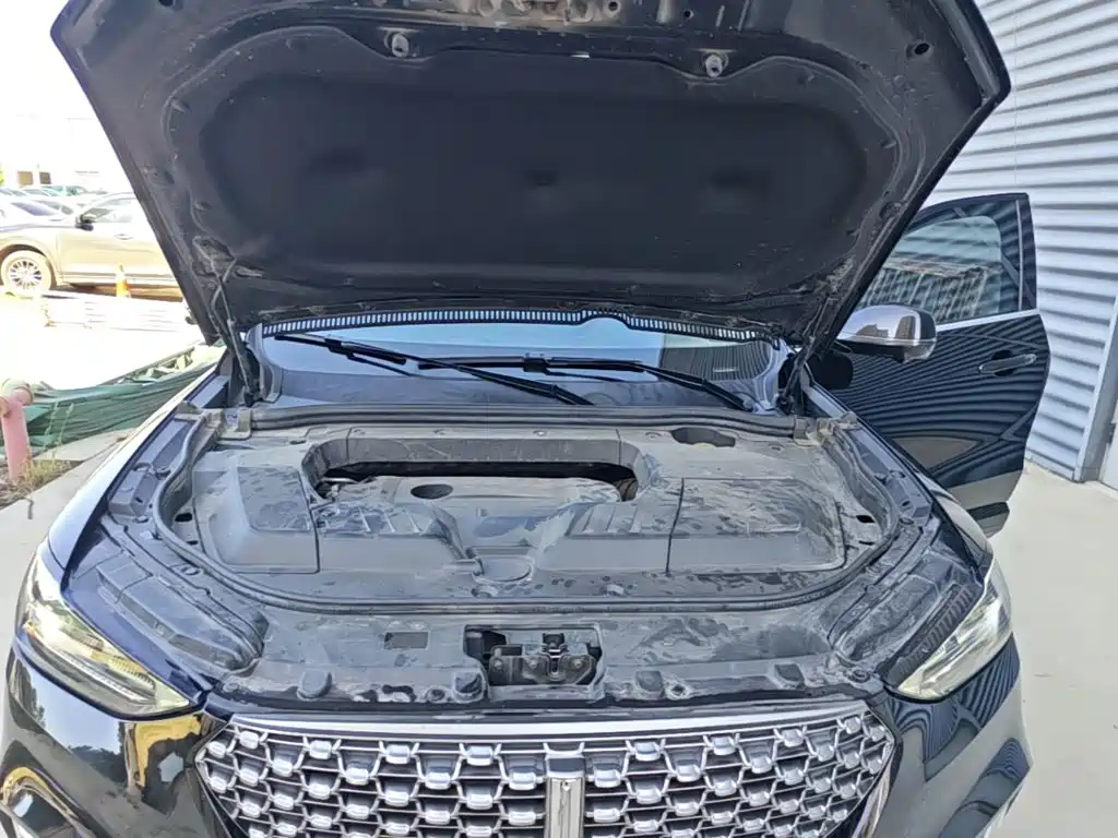 Wey Wey VV6 — миниатюра 20