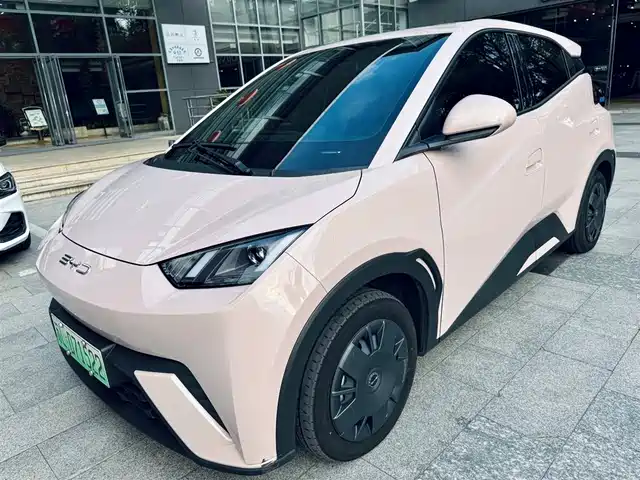 BYD SEAGULL 2024