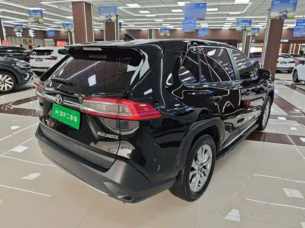 Toyota Wildlander — миниатюра 7