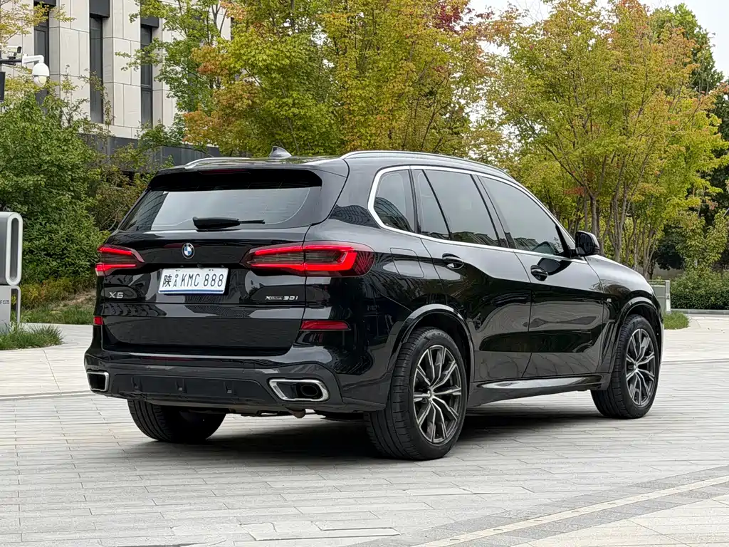 BMW X5 (Import) — миниатюра 6
