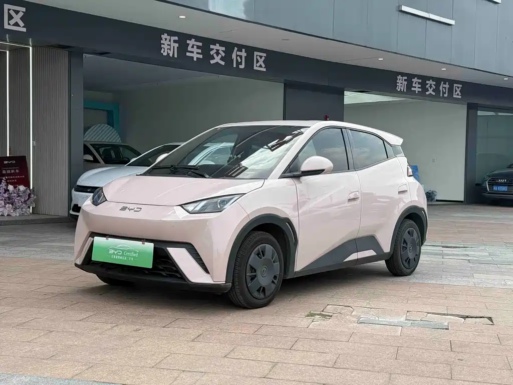 Byd Seagull 2024