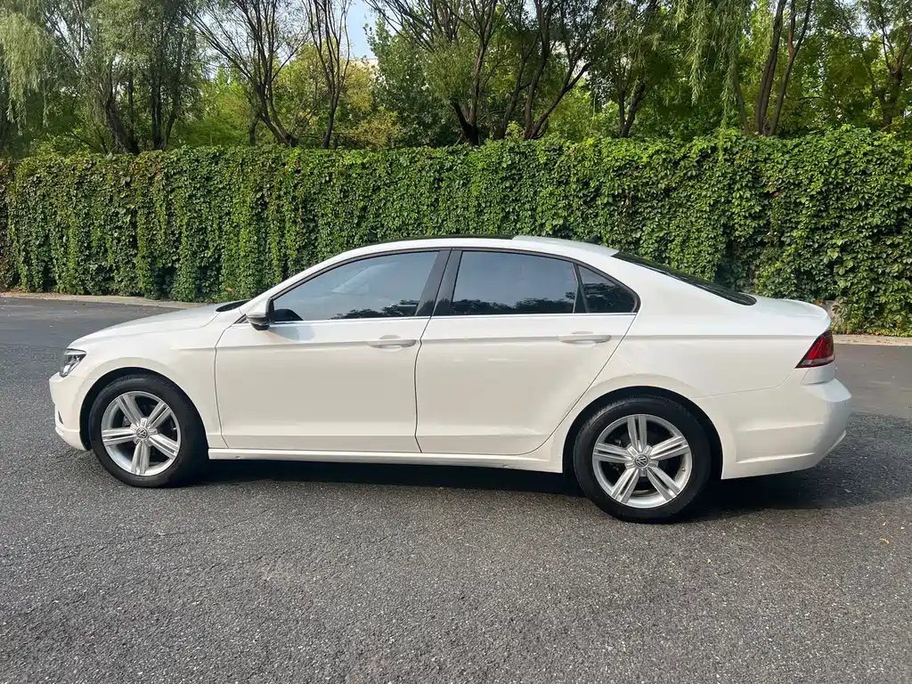 Volkswagen Lamando — миниатюра 8