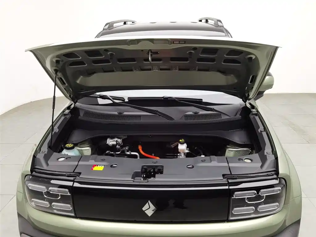 BAOJUN YUE ALSO PLUS