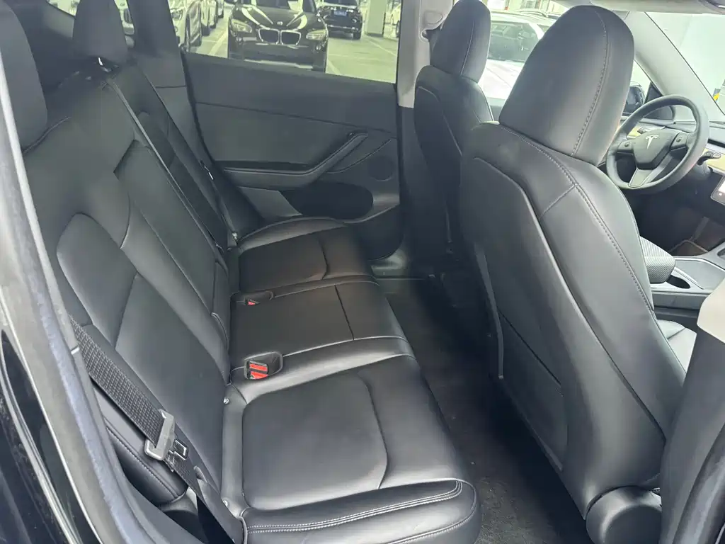 Tesla Model Y — миниатюра 7