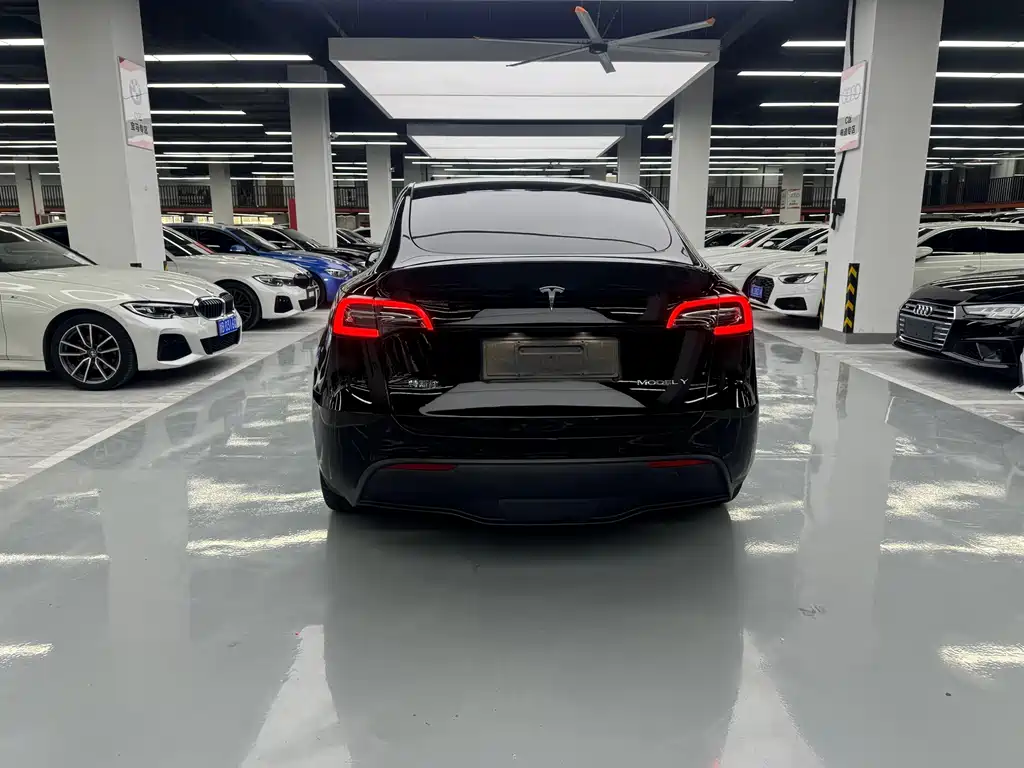 Tesla Model Y — миниатюра 13