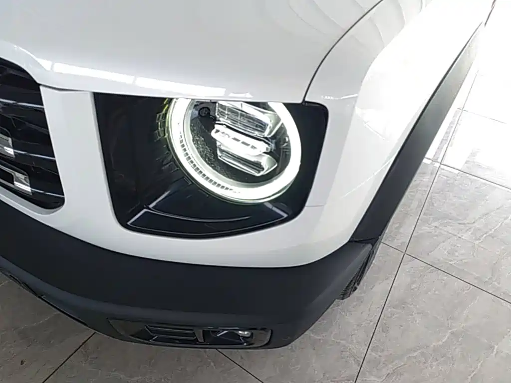 Haval Big Dog — миниатюра 24
