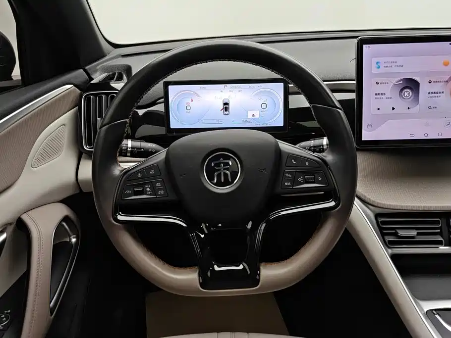 BYD Pro New Energy — миниатюра 15