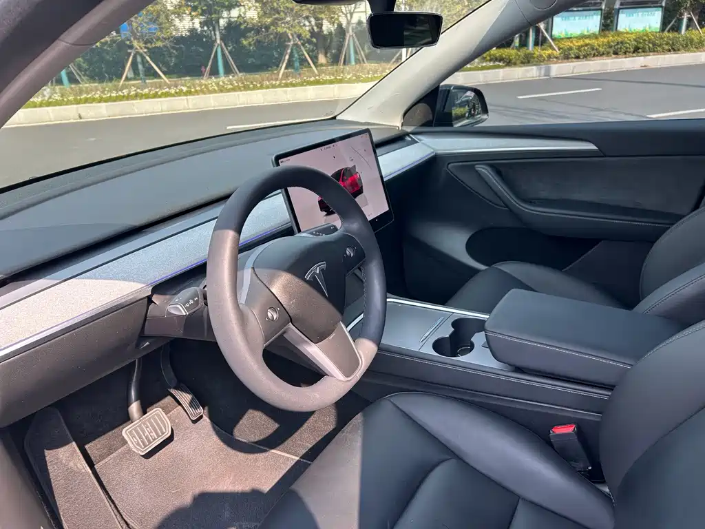 Tesla Model Y — миниатюра 5