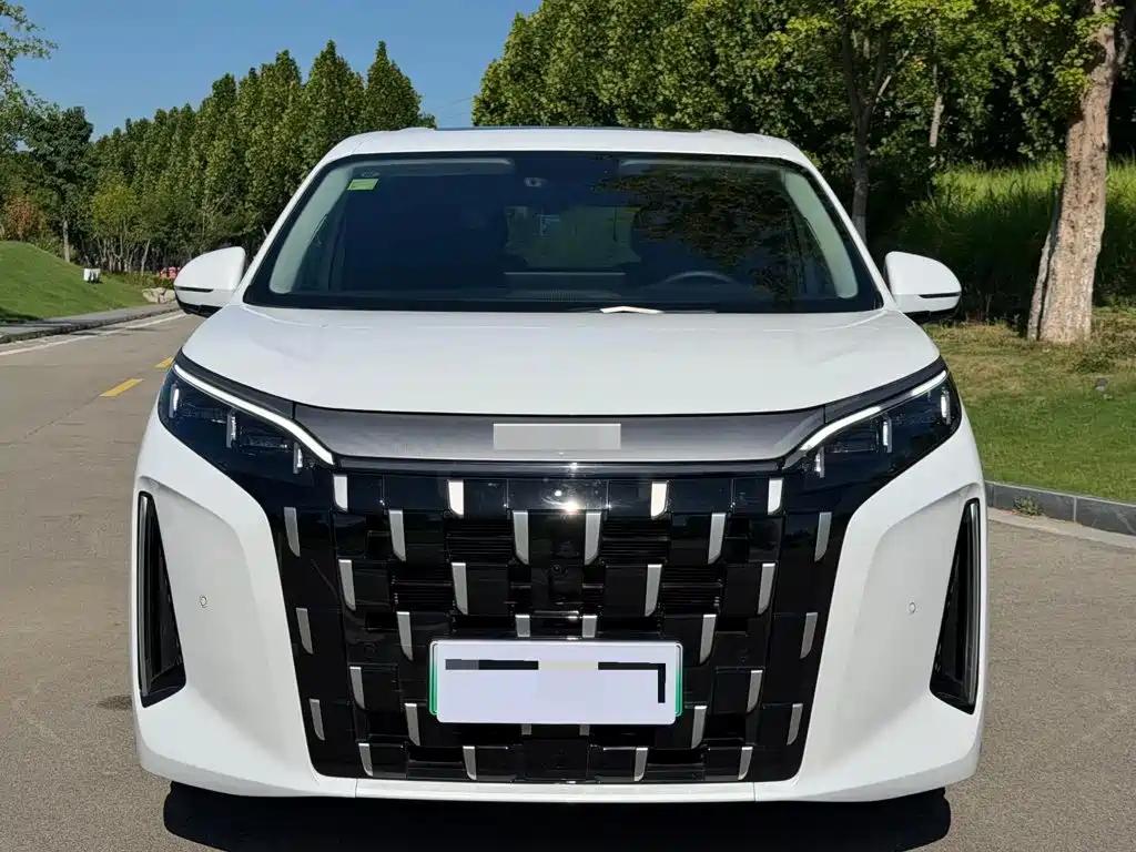 BYD M9 — миниатюра 2