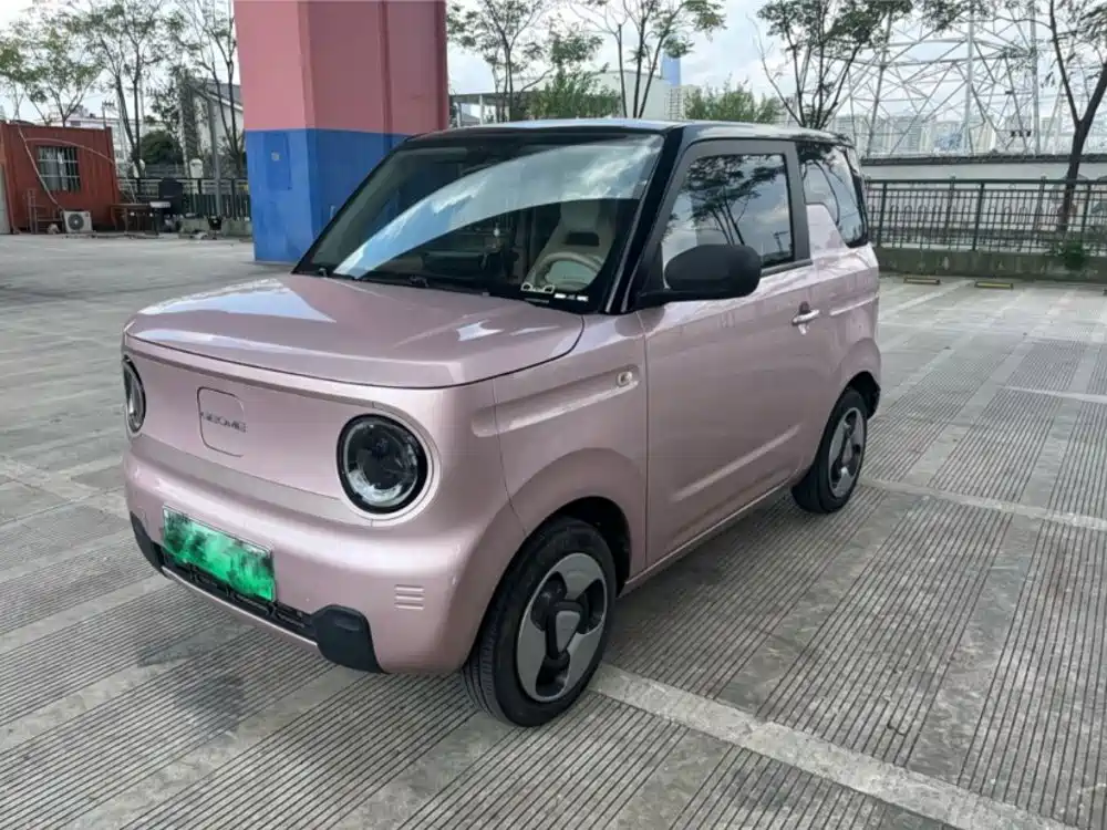Galaxy Panda