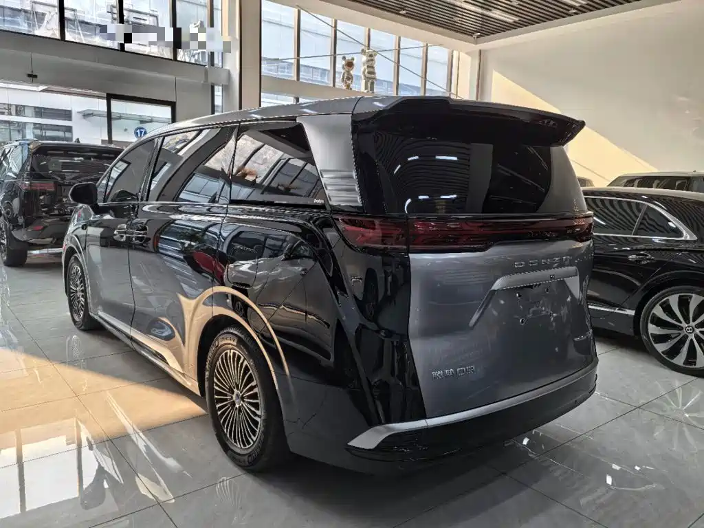 Denza Denza D9 — миниатюра 5