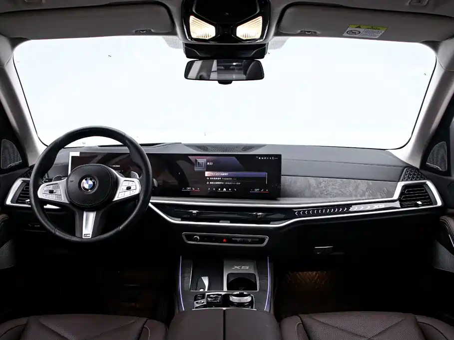 BMW X5 — миниатюра 5