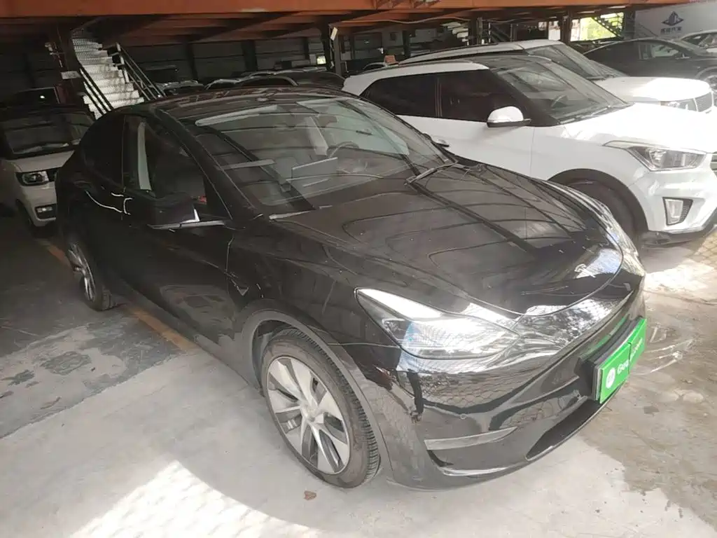 Tesla Model Y — миниатюра 4