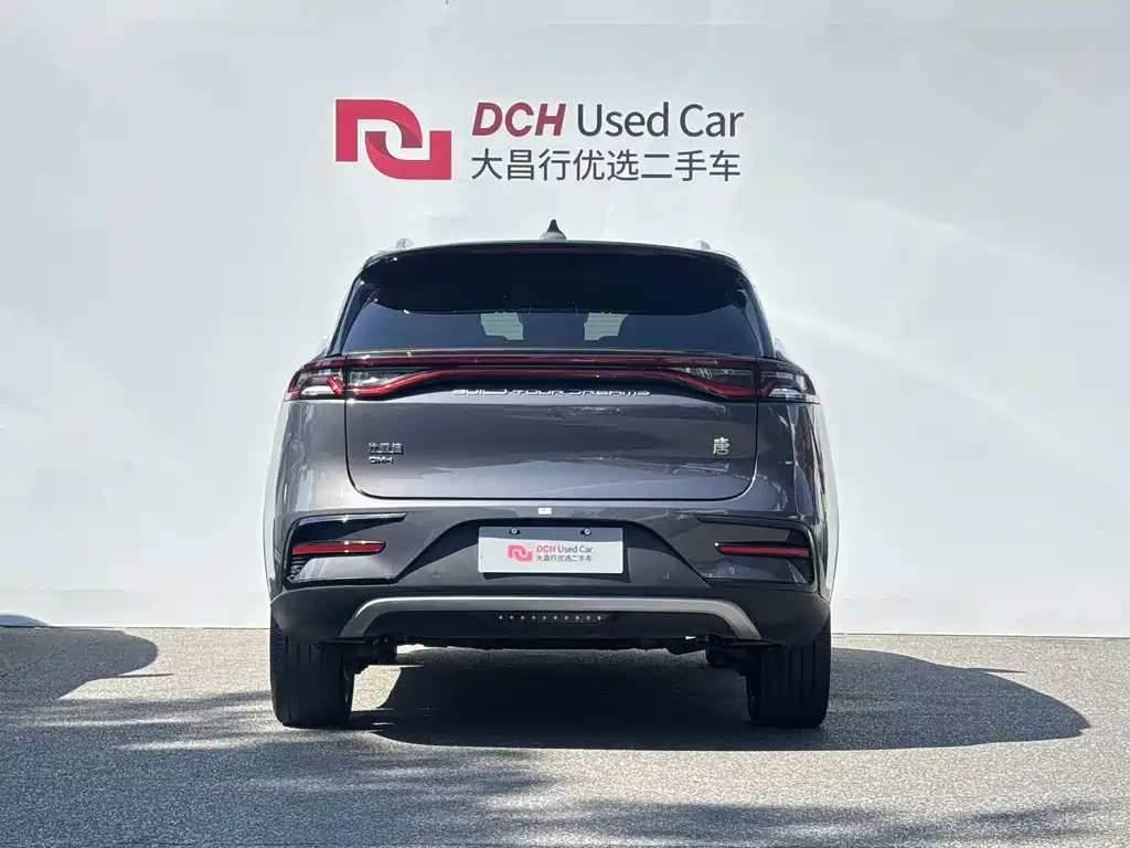 BYD Tang New Energy — миниатюра 5