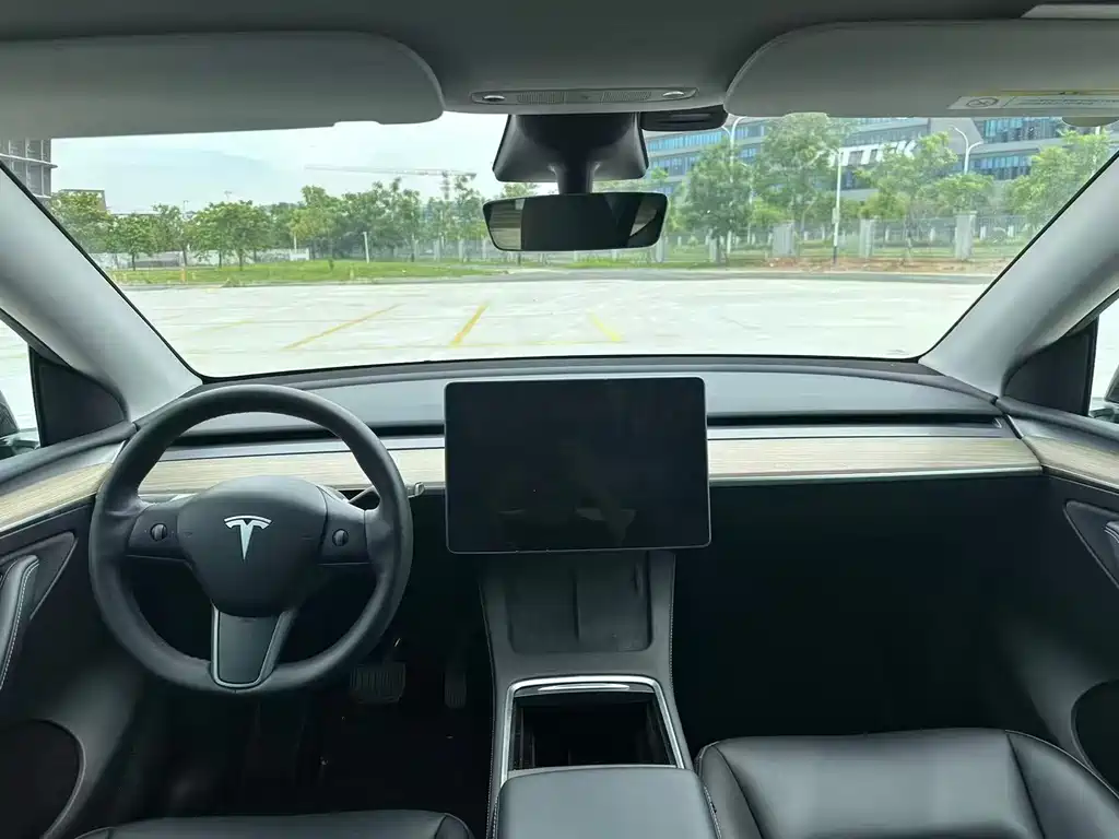 Tesla Model Y — миниатюра 5