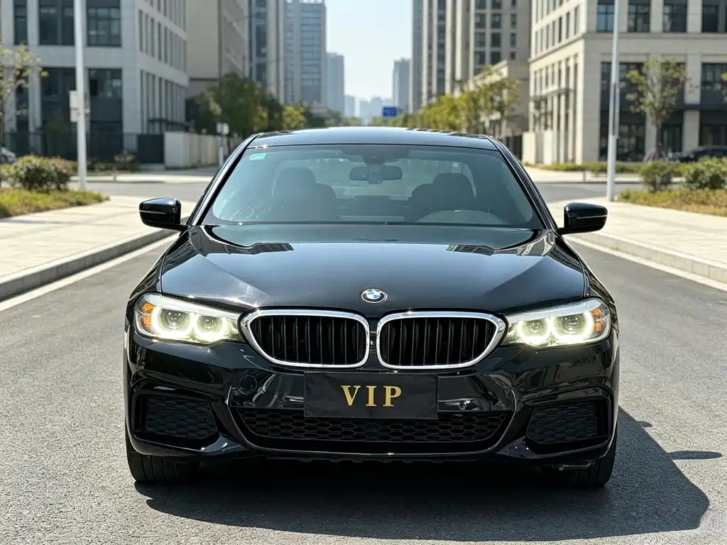 BMW 5 Series — миниатюра 2