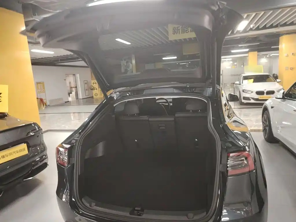 Tesla Model Y — миниатюра 19