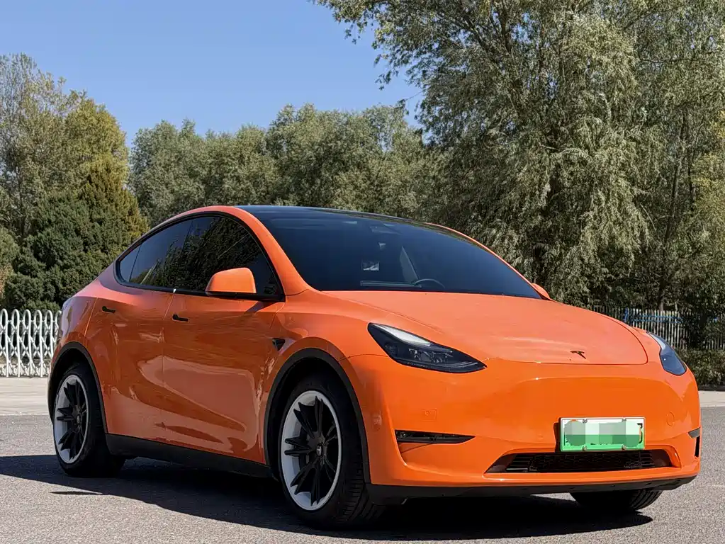 Tesla Model Y — миниатюра 3