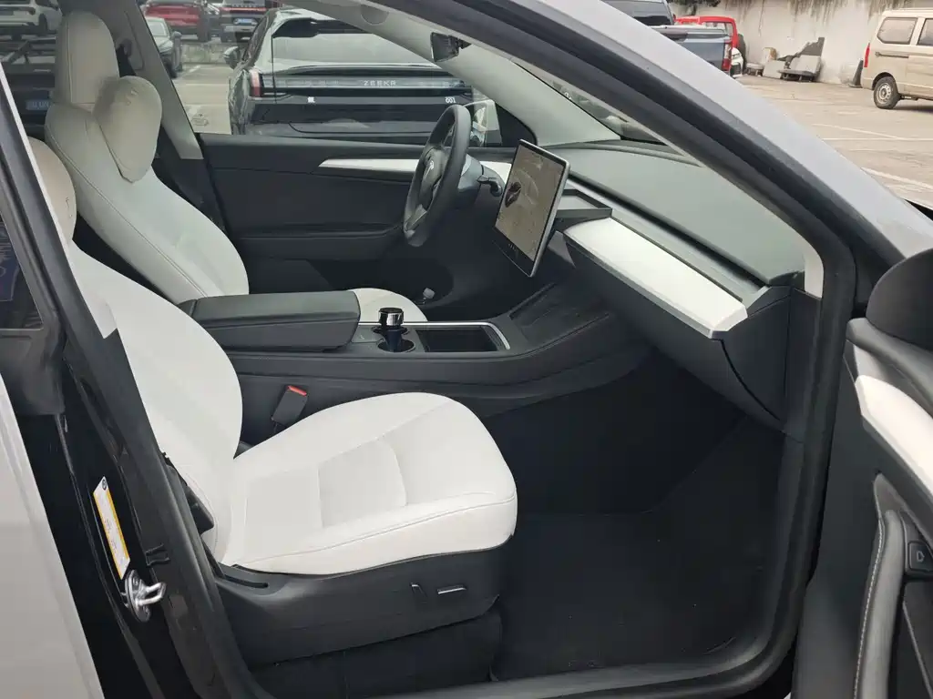 Tesla Model Y — миниатюра 10