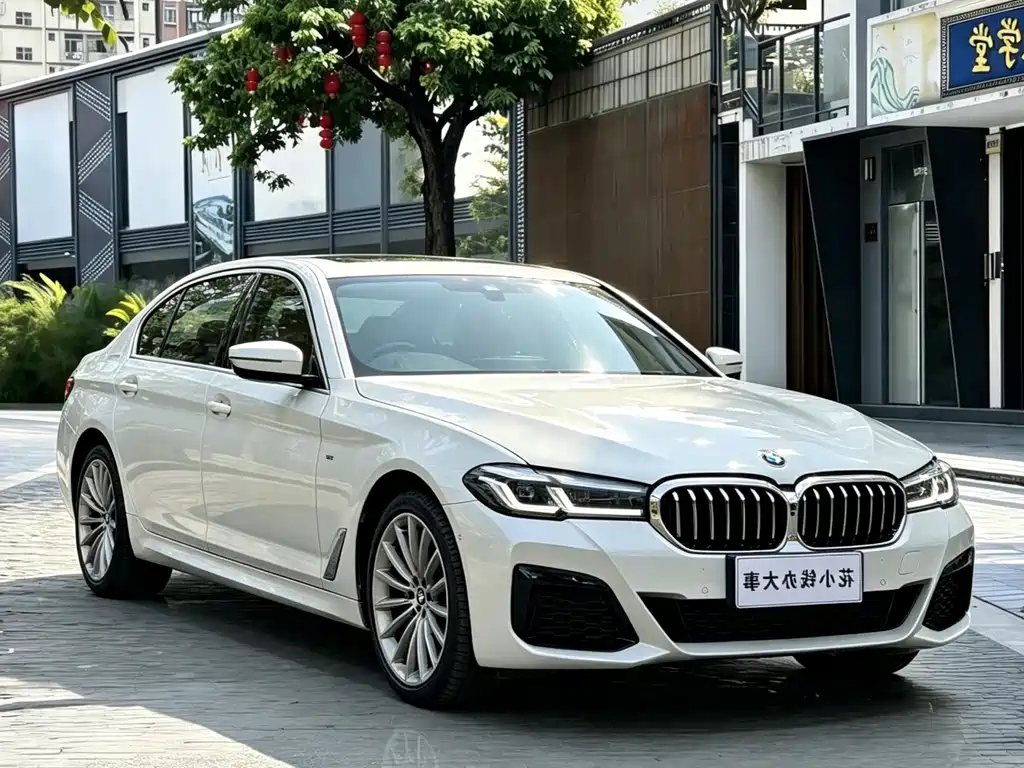 BMW 5 Series — миниатюра 3