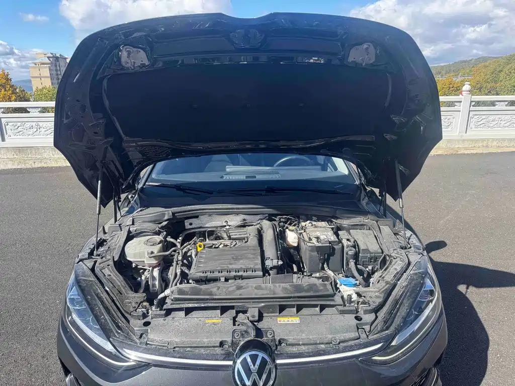 Volkswagen Lamando — миниатюра 19