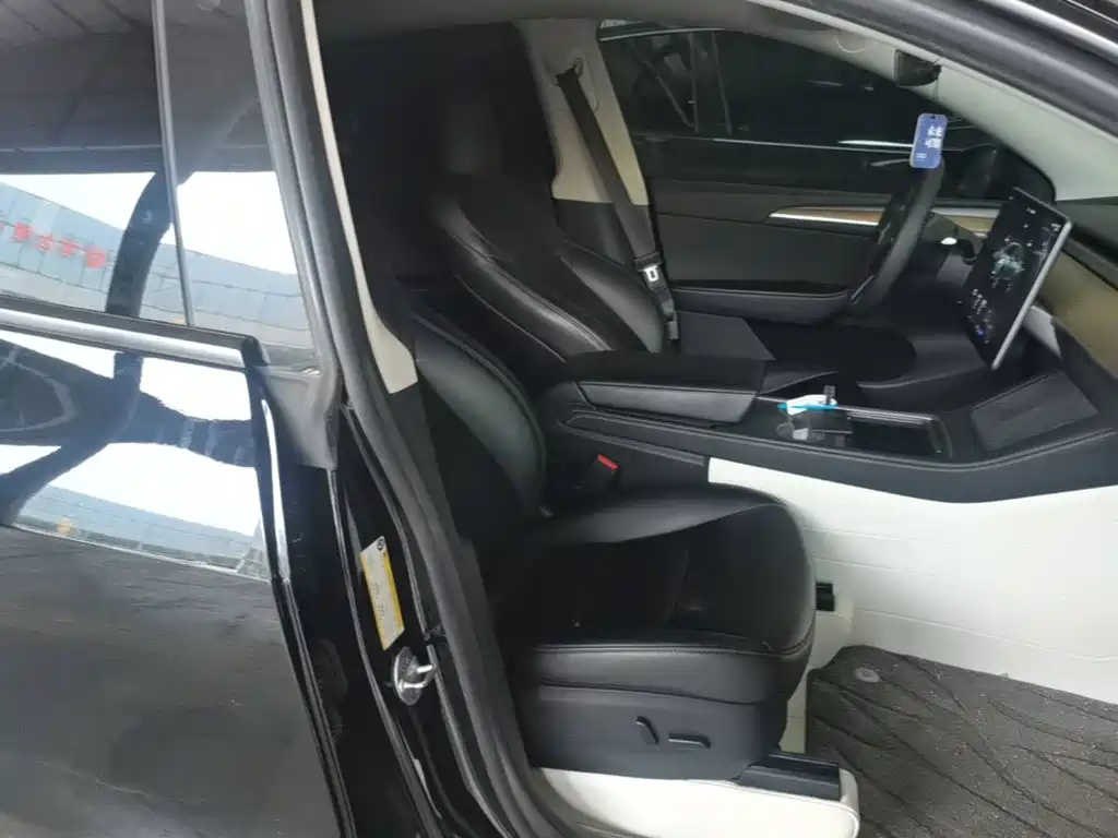 Tesla Model Y — миниатюра 25