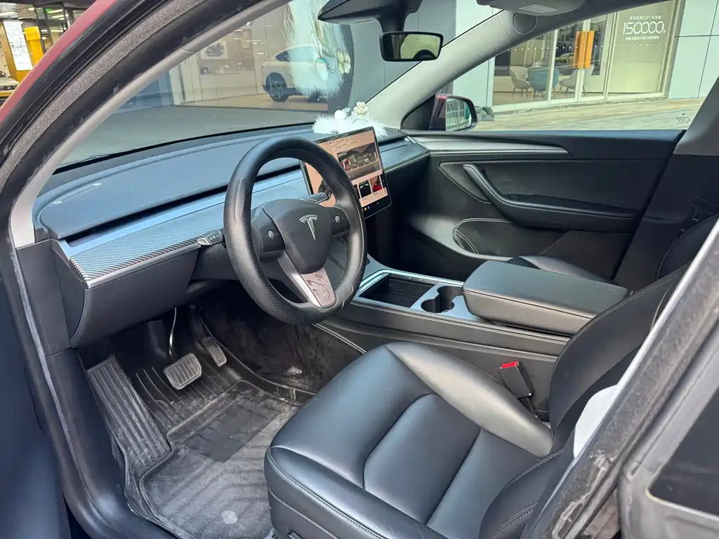 Tesla Model Y — миниатюра 5