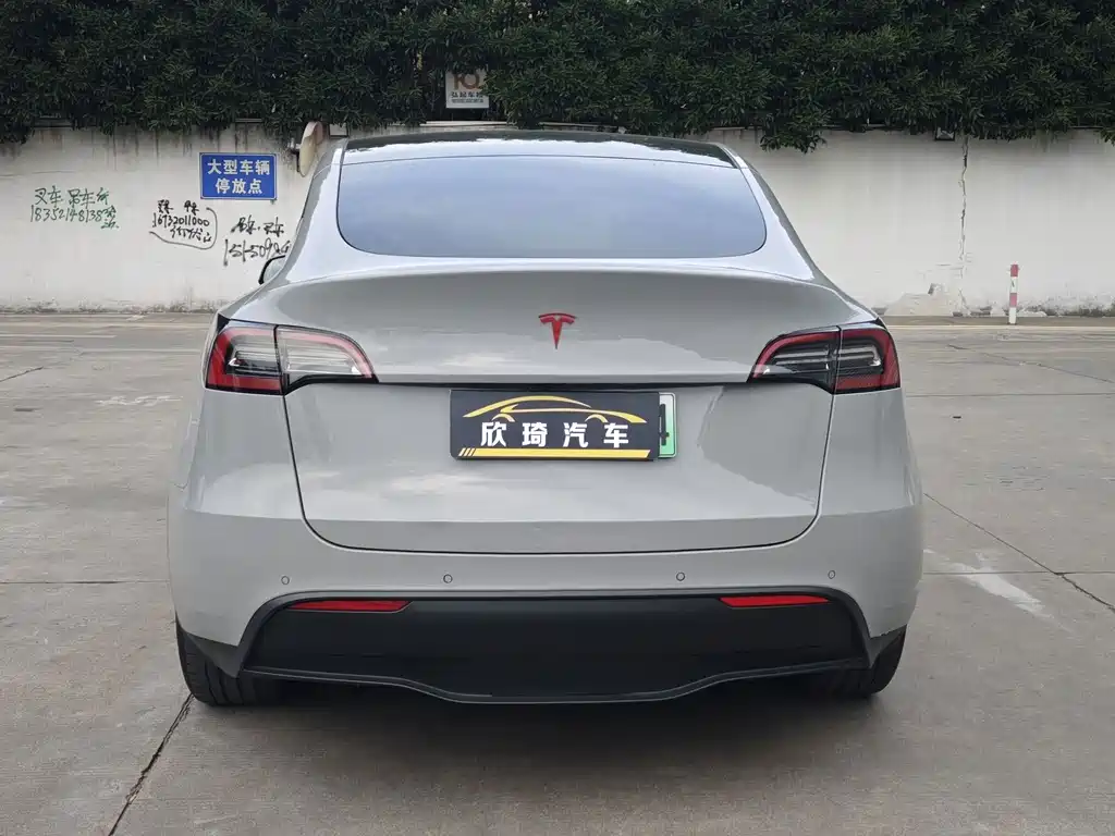 Tesla Model Y — миниатюра 5