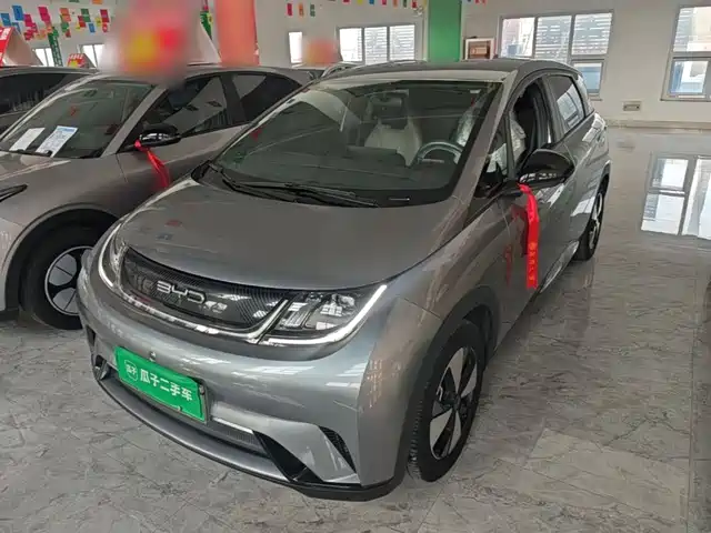 BYD Dolphin