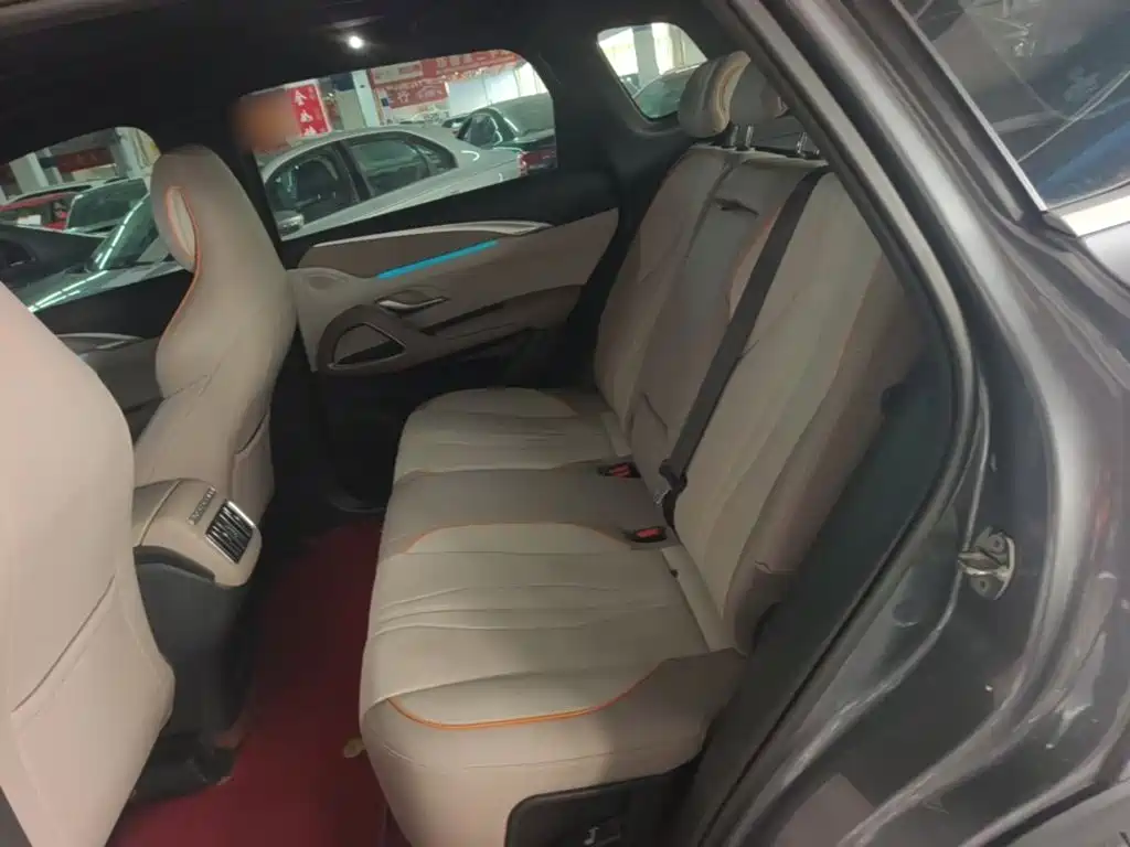 BYD Pro New Energy — миниатюра 17