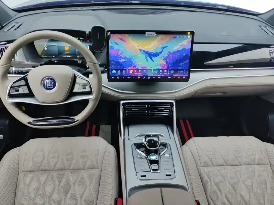 BYD Tang New Energy — миниатюра 12