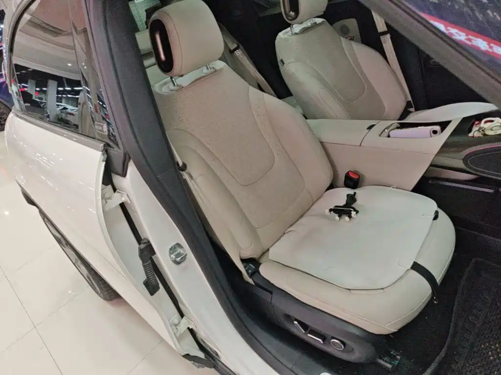 smart Smart #1 — миниатюра 25