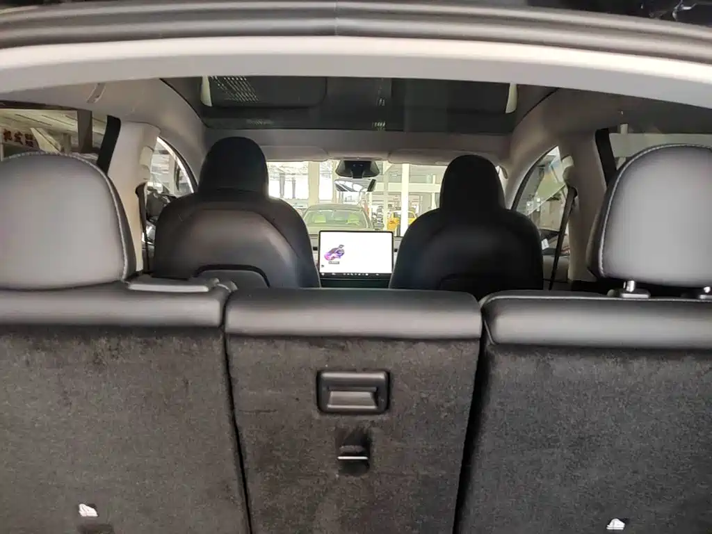 Tesla Model Y — миниатюра 18