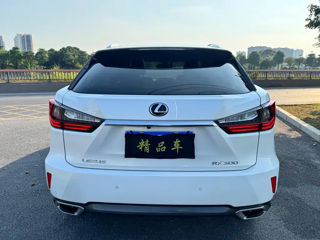 Lexus RX — миниатюра 5