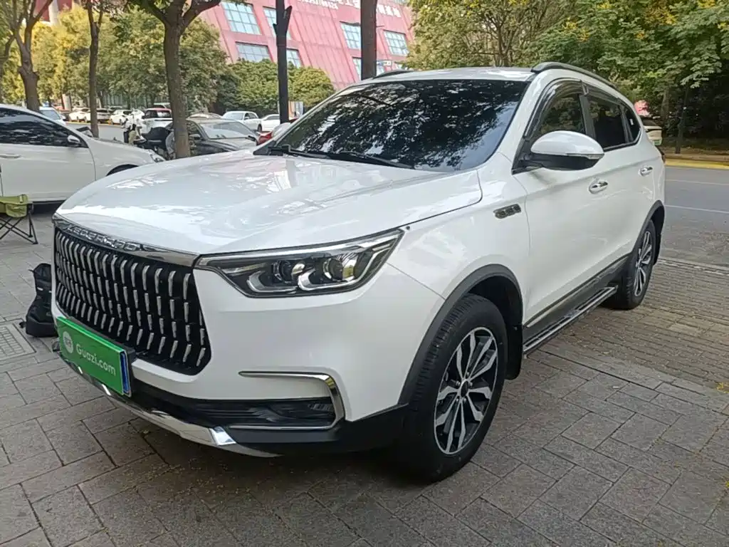 Leopaard Mattu — миниатюра 2
