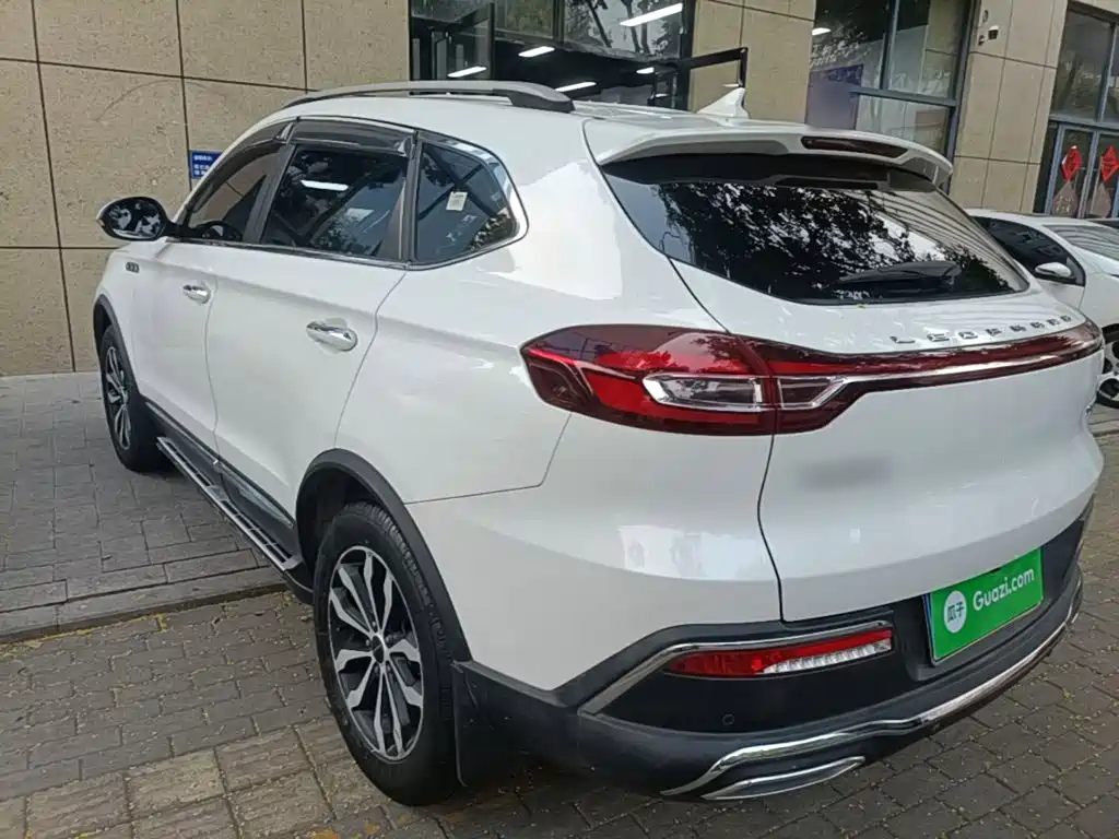 Leopaard Mattu — миниатюра 5