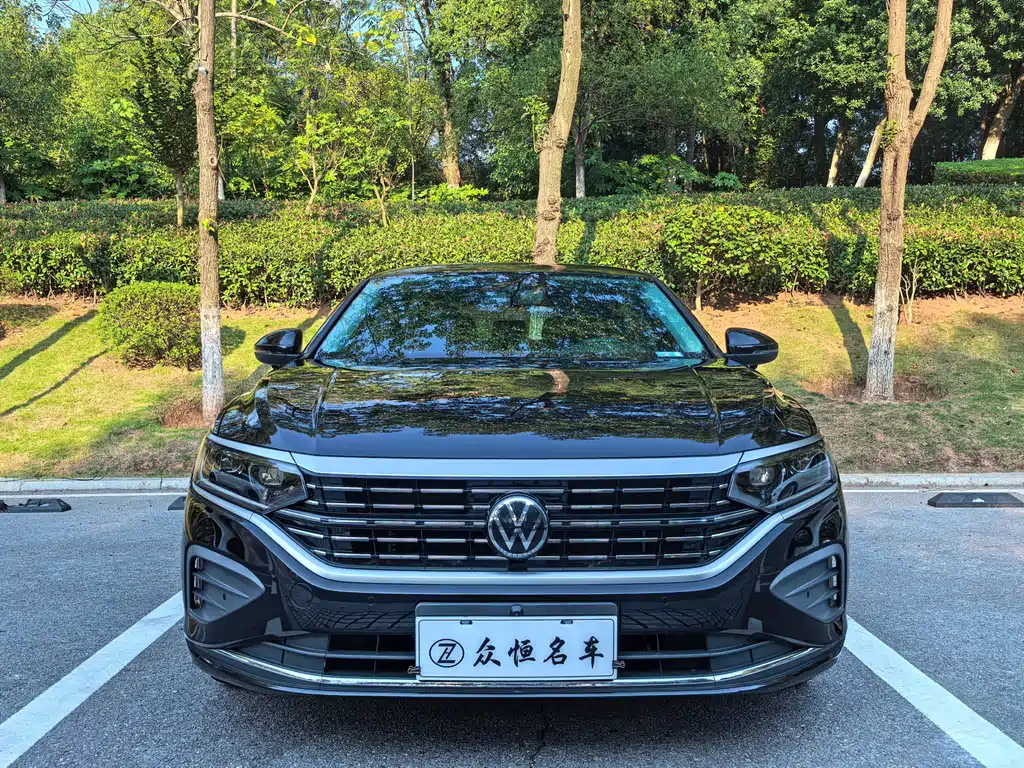Volkswagen Passat — миниатюра 2