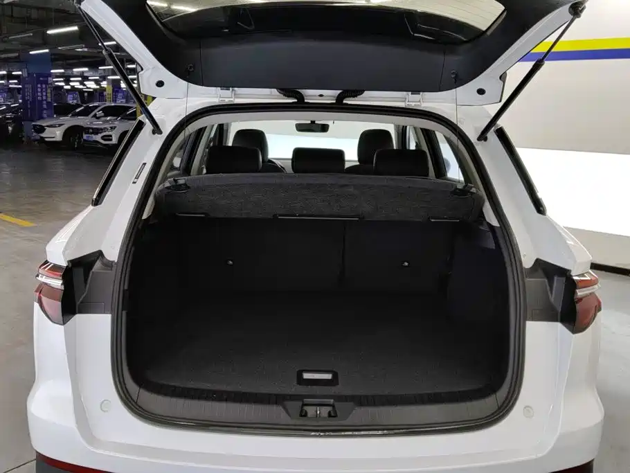 BYD Pro — миниатюра 4