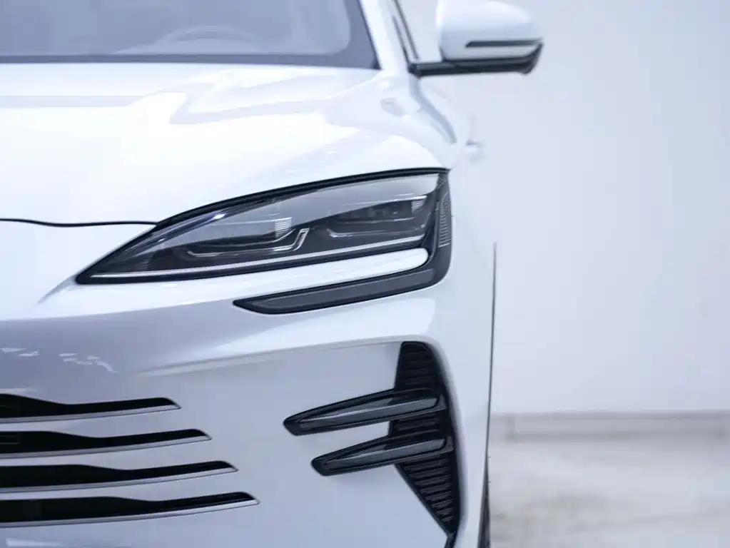BYD PLUS New Energy — миниатюра 7
