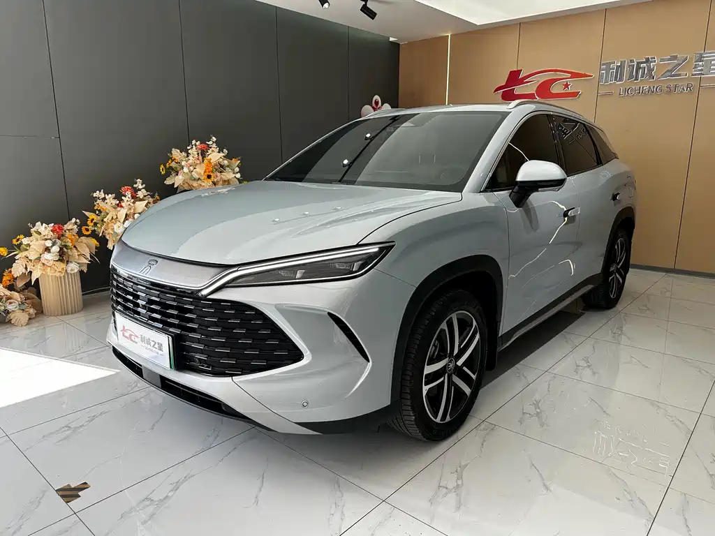BYD L DM-i