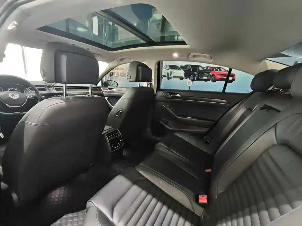 Volkswagen Magotan 2019 330TSI DSG Luxury VI