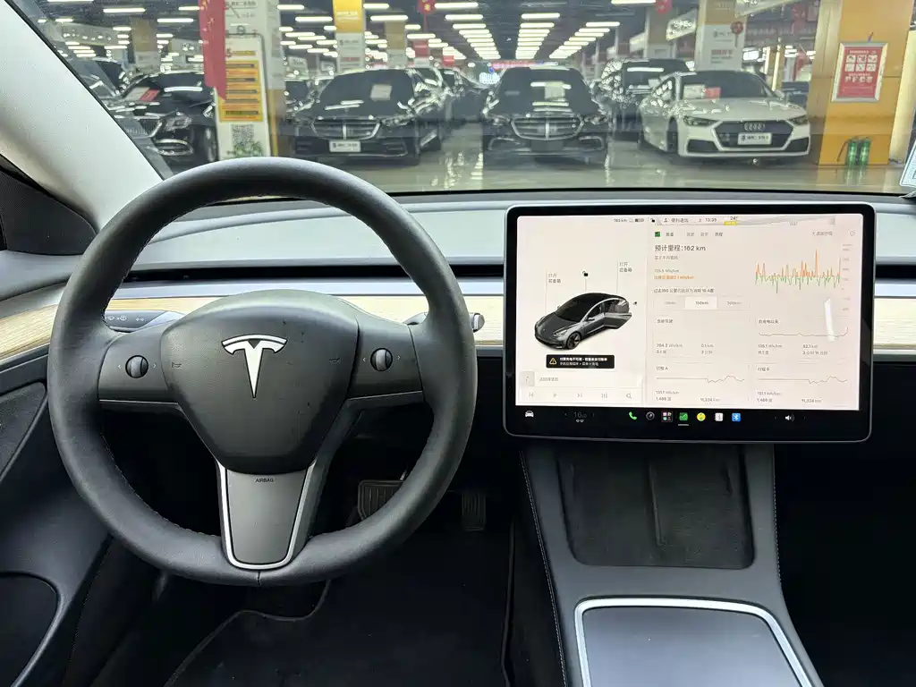 Tesla Model 3 — миниатюра 13