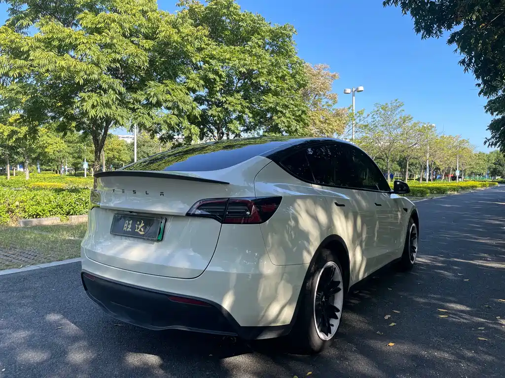 Tesla Model Y — миниатюра 9