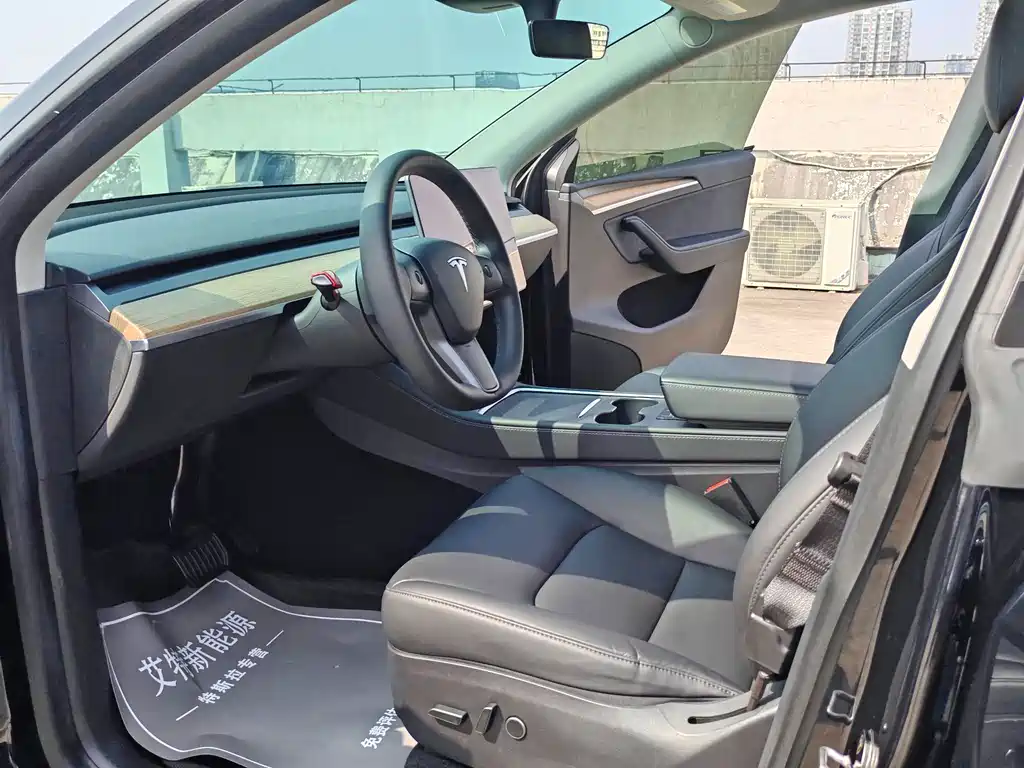 Tesla Model Y — миниатюра 10
